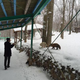 Image for article titled You Can Experience Fox Heaven in Japan